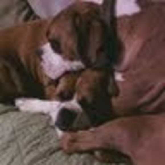 Profile Picture of Maggie Xifo (@maggie_xifo) on Poshmark