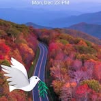 Profile Picture of Charu Jifera (@Charu-Jifera) on Facebook