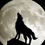 Profile Picture of Patrick Morel (@mopa1956) on Instagram