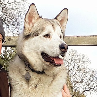 Profile Picture of Paul Robert (@Monty1310) on Twitter