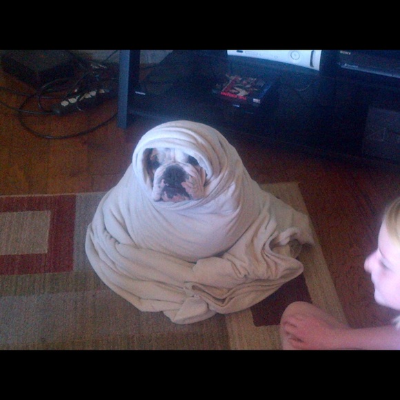 Tiffany Schuringa - Poshmark Profile Picture of Tiffany Schuringa (@tschuringa) on Poshmark