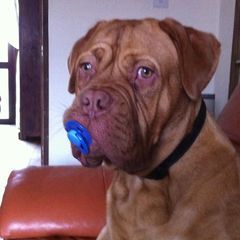 Profile Picture of craigballantyne59 (@craigballantyne59) on Tiktok