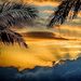 Profile Picture of James Anhalt (@anhalt0726) on Pinterest