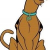 Profile Picture of John Macdougall (@@johnmacdougall2) on Tiktok