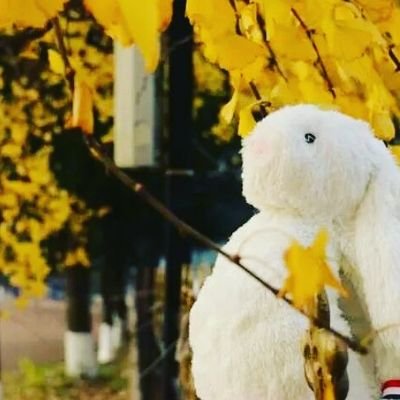 Profile Picture of Riddle Lee (@Riddle__Lee) on Twitter