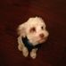 Profile Picture of Dinari Weaver (@dinari.weaver) on Facebook