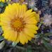 Profile Picture of Nancy Litton (@nancy.litton.92) on Facebook