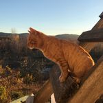 Profile Picture of Ольга Руденко (@olga___rudenko) on Instagram