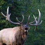 Profile Picture of Jason Storey (@jasonstorey96) on Instagram