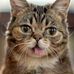 Profile Picture of Melanie Stellmach Kranich (@Melanie-Stellmach-Kranich) on Facebook