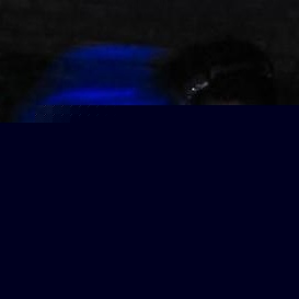 Profile Picture of Ivan Koch (@268432819) on Myspace