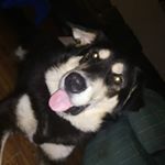 Profile Picture of Michelle Renee Elbertson (@michellereneeelb) on Instagram