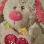 Profile Picture of Michael Feehan (@michael.feehan.902) on Instagram