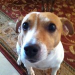 Profile Picture of brian_beahn (@brian_beahn) on Instagram