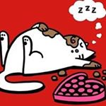 Profile Picture of Ruth Steele (@ruthsteele) on Instagram