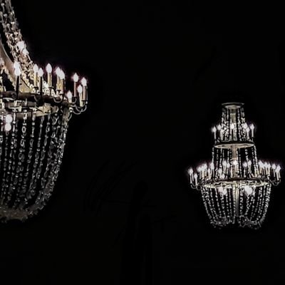 Profile Picture of Gus Thompson (@Gus_dakiwi) on Twitter