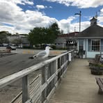 Profile Picture of Jeffrey Pinales (@jeffrey.pinales.3) on Facebook