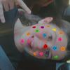 Profile Picture of Isabella walters (@isabella._.walters33850) on Tiktok