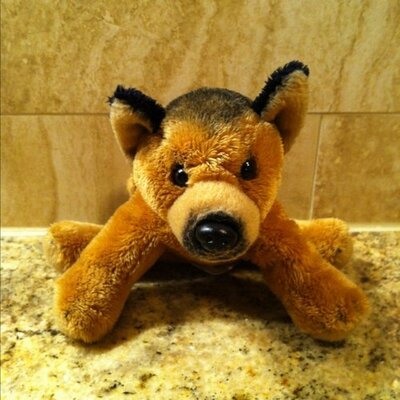 Profile Picture of Jacob Budd (@jakebbpdx) on Twitter