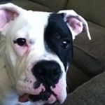 Profile Picture of Barry Snyder (@barry.snyder.58) on Instagram