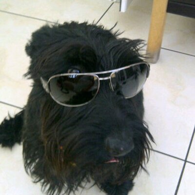 Profile Picture of John Postlethwaite (@johnpossy) on Twitter