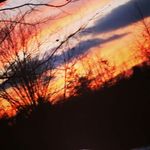 Profile Picture of marissa Wolfe (@marissawolfe21) on Instagram