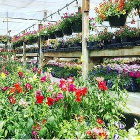 Profile Picture of Jenna Marek (@jennamariemarek) on Pinterest