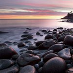 Profile Picture of Tommy Reece (@tommyreece11) on Instagram