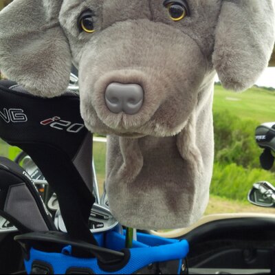 Profile Picture of Scott Hepworth (@Scotty1915Scott) on Twitter