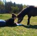 Profile Picture of Amelia Michalska (@amelia.michalska.5030) on Facebook