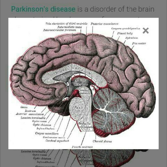 Sandra Warren - Poshmark Profile Picture of Sandra Warren (@michaleta16) on Poshmark