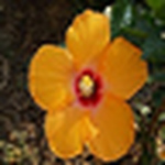 Profile Picture of funhoustoncouple (@funhoustoncouple) on Flickr