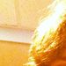 Profile Picture of Daniel Downing (@ddowning21) on Pinterest