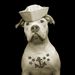 Profile Picture of Loose Leashes by Ron Schmidt (@looseleashes) on Pinterest