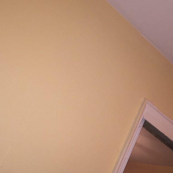 Profile Picture of Paula Frater (@foxypaula) on Poshmark