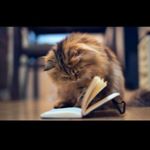 Profile Picture of Sharon Funk (@sfunk5150) on Instagram