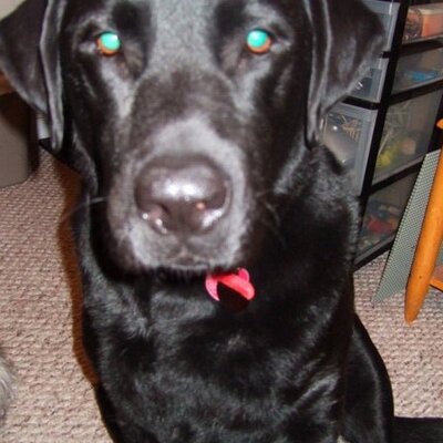 Profile Picture of Robin Craycraft (@MommyRobin1026) on Twitter