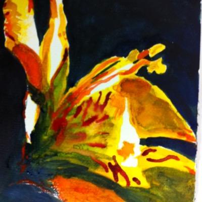 Profile Picture of Luz Almeida Castro (@luzalmeidac) on Twitter