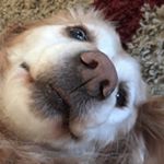 Profile Picture of Brady Schwab (@_bschwab87_) on Instagram