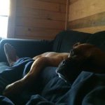 Profile Picture of Paul Sottile (@spillatime) on Instagram