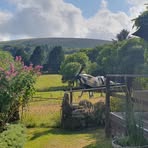 Profile Picture of Richard Mainwaring (@Richard-Mainwaring) on Facebook