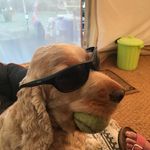 Profile Picture of Stephen Pendleton (@stephenpendleton2018) on Instagram