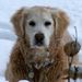 Profile Picture of Jeffrey Gans (@jtgpinterest) on Pinterest
