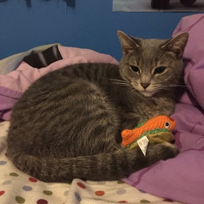 Profile Picture of Heather McElyea (@HeatherMcElyea1) on Twitter