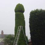 Profile Picture of Jay Evers (@ahornytree) on Instagram