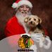 Profile Picture of Craig Ball (@craig.ball.16121) on Facebook