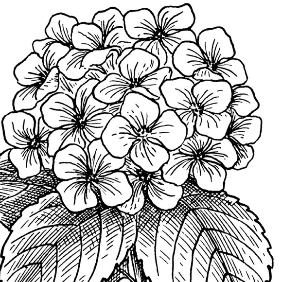 Profile Picture of Ava Fjerstad (@fjerstadava) on Poshmark