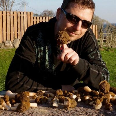 Profile Picture of Alex Kulick (@Alex_Kulick) on Twitter