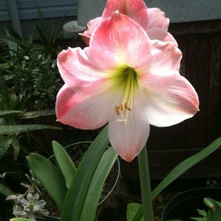 Profile Picture of Connie Hessong (@connie.hessong) on Facebook