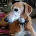 Profile Picture of Gary R Nice (@garynice111) on Pinterest